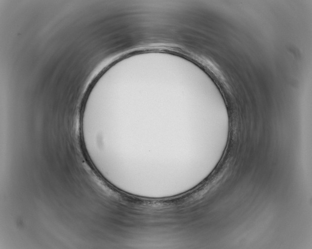 X0000112061420200909010953