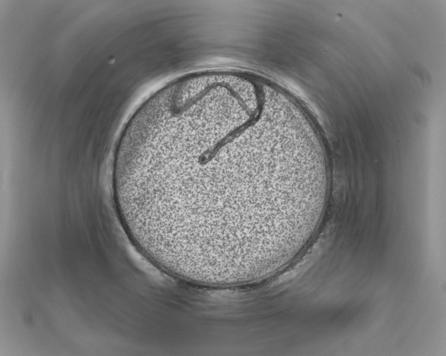 X0000112061421200909010953