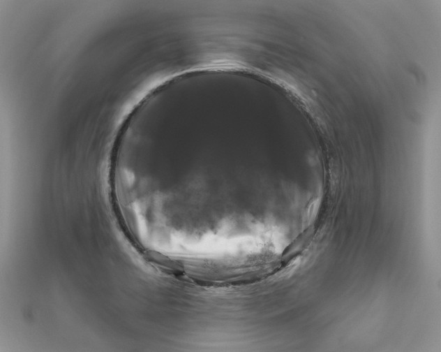 X0000112061422200909010953