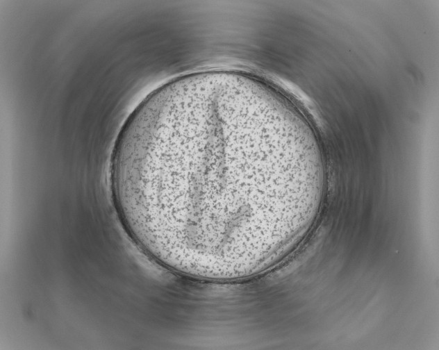 X0000112061423200909010953