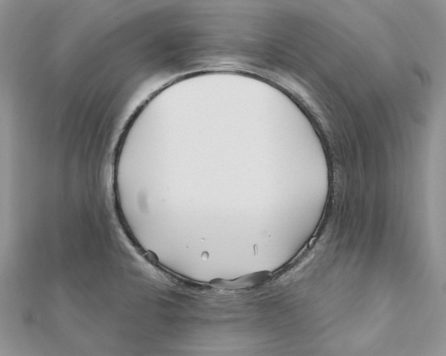 X0000112061424200909010953