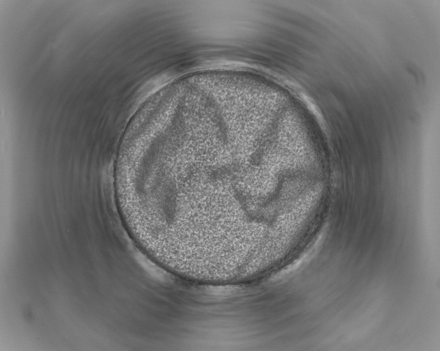 X0000112061425200909010953