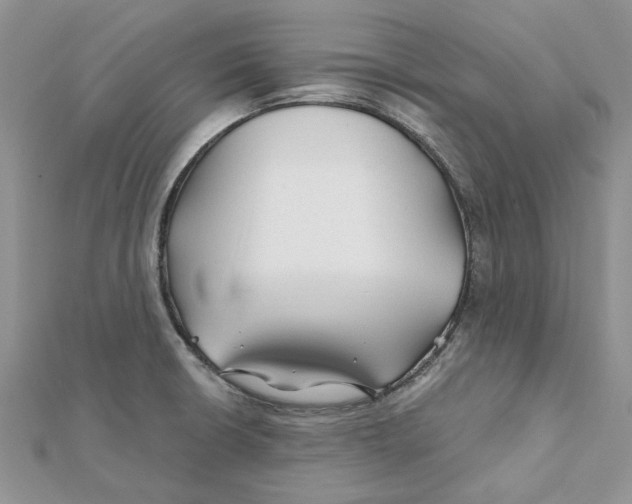 X0000112061426200909010953