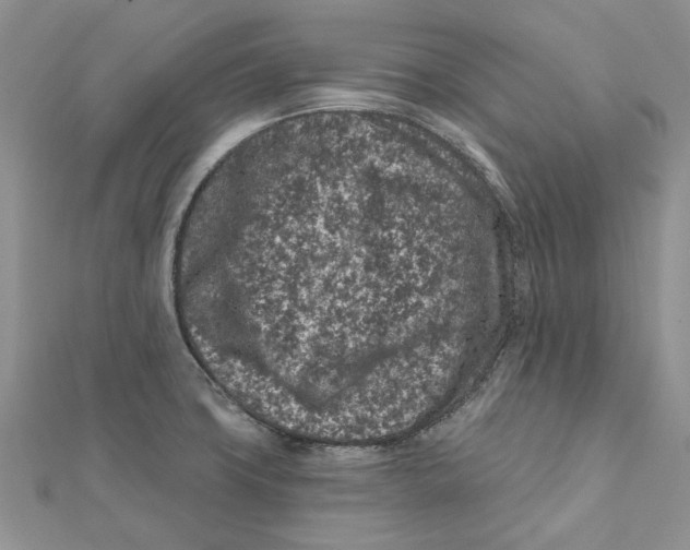 X0000112061427200909010953