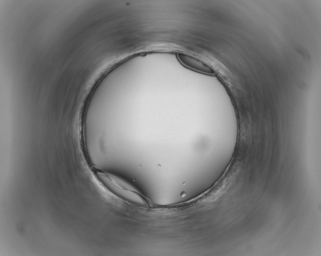 X0000112061430200909010953