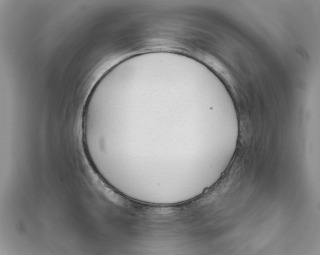 X0000112061431200909010953