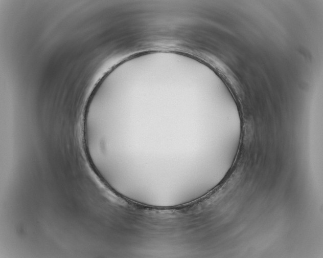 X0000112061432200909010953