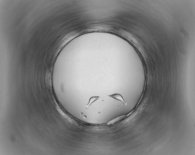 X0000112061433200909010953