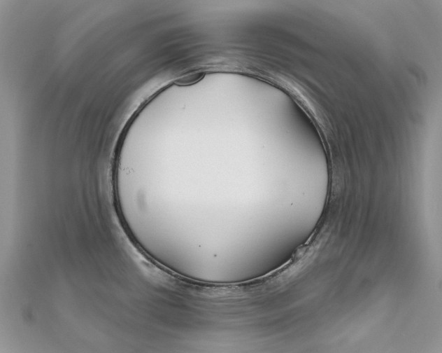 X0000112061434200909010953