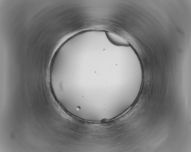 X0000112061436200909010953