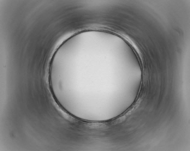 X0000112061437200909010953