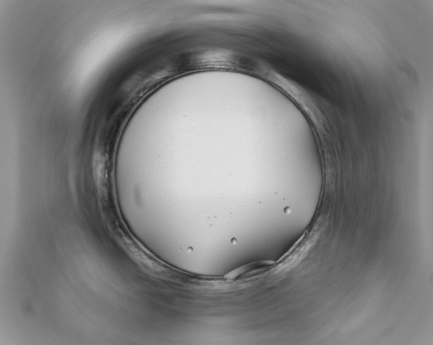 X0000112061438200909010953