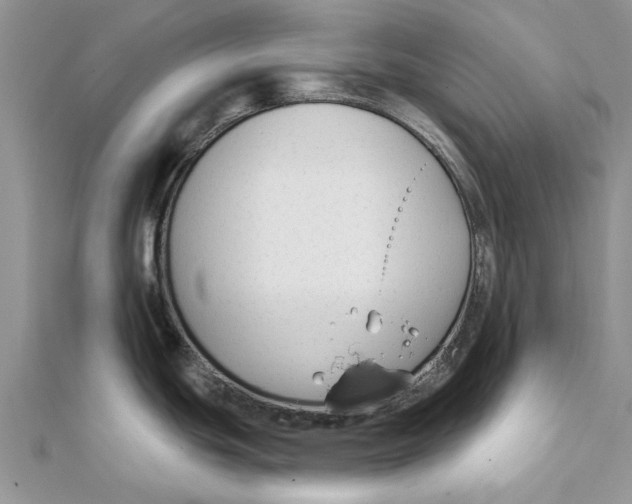 X0000112061439200909010953