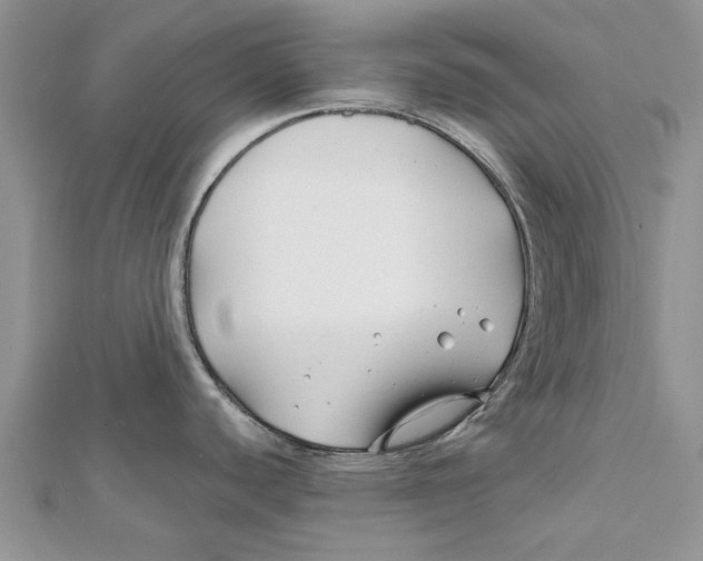 X0000112061440200909010953