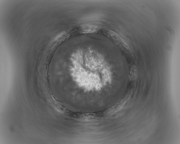 X0000112061441200909010953