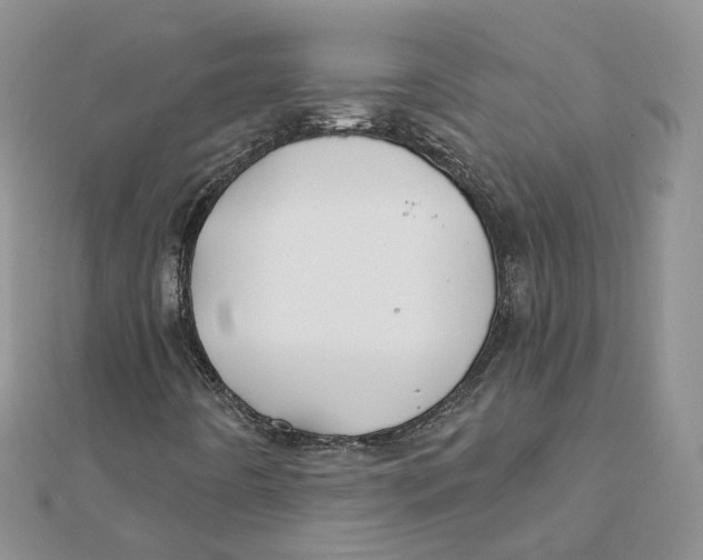 X0000112061442200909010953