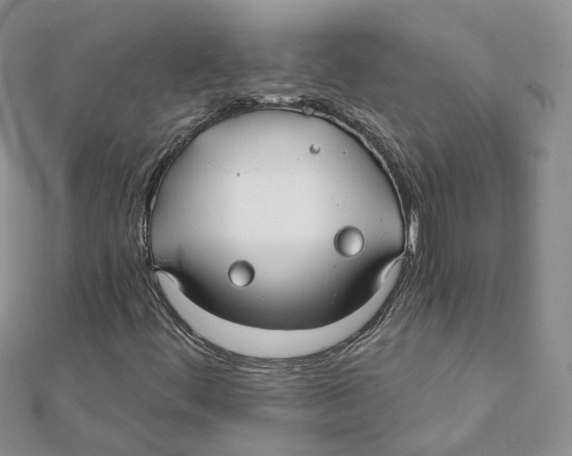 X0000112061444200909010953