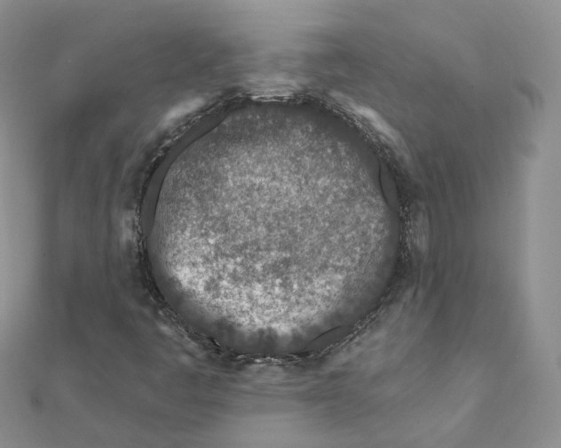 X0000112061445200909010953