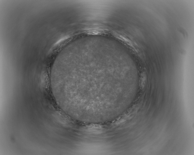 X0000112061446200909010953