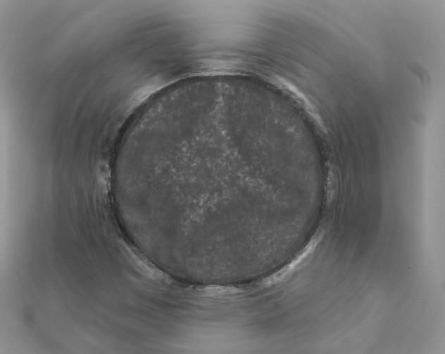 X0000112061449200909010953