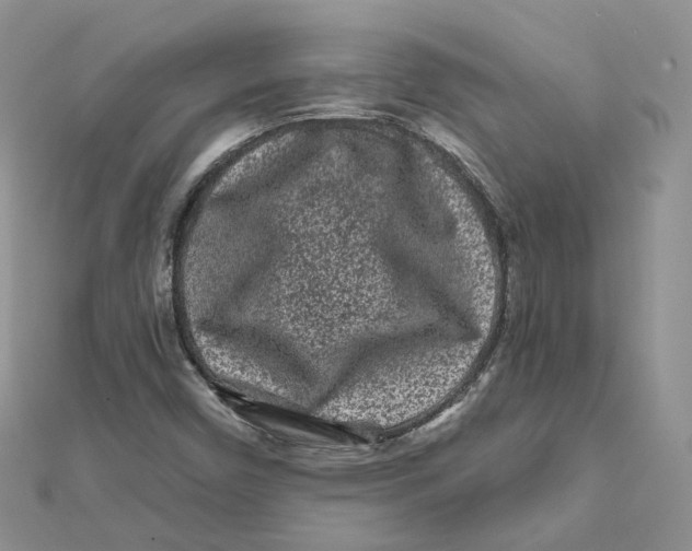 X0000112061450200909010953