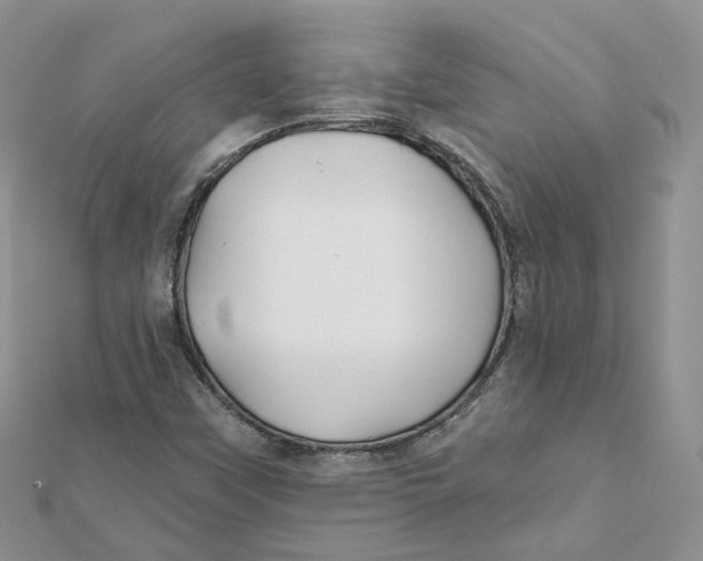 X0000112061451200909010953