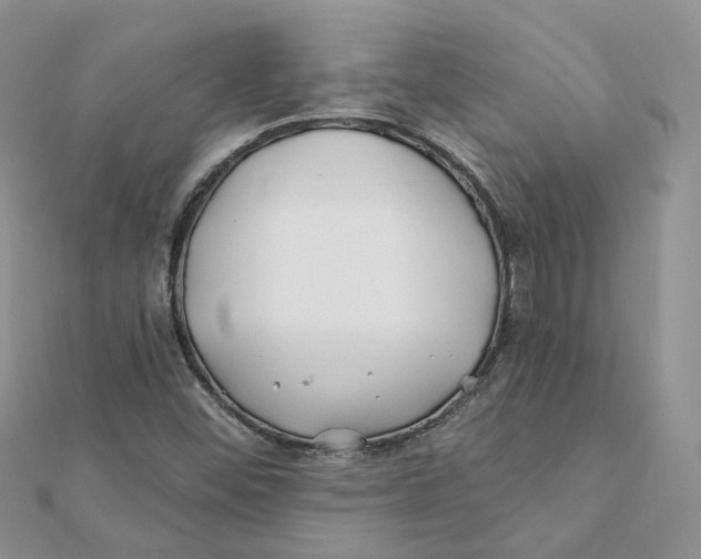 X0000112061452200909010953