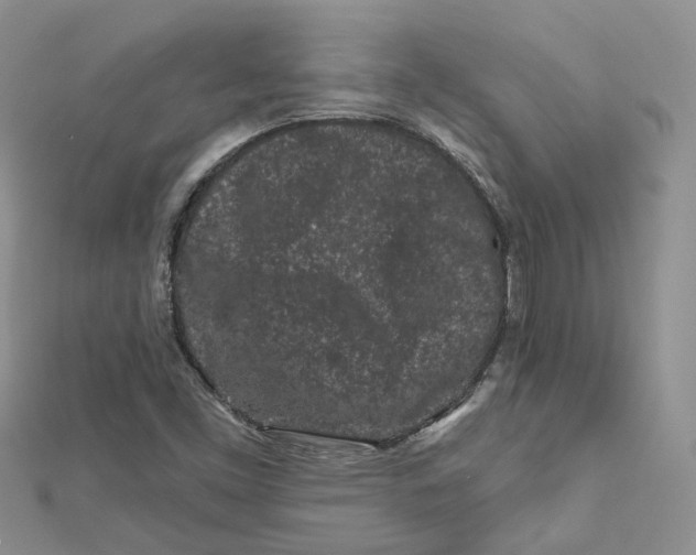 X0000112061453200909010953