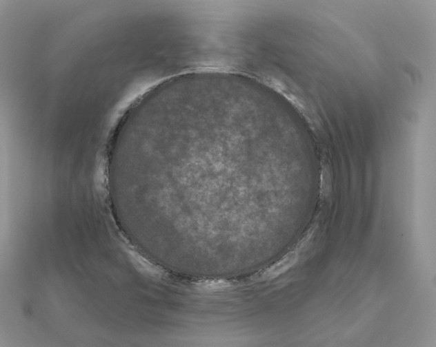 X0000112061454200909010953