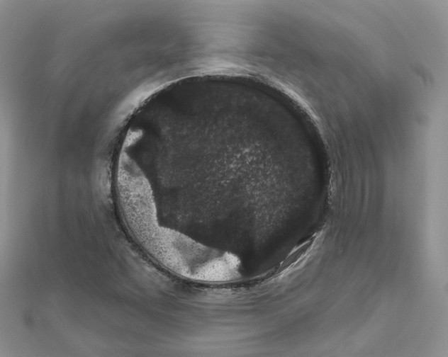 X0000112061455200909010953