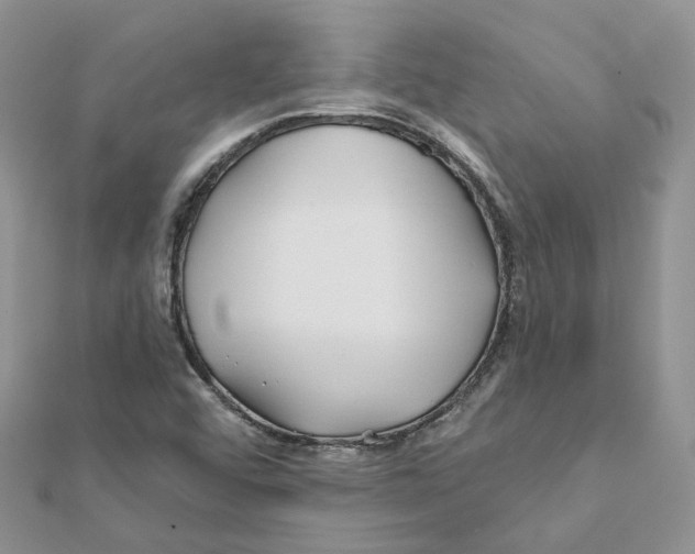 X0000112061456200909010953