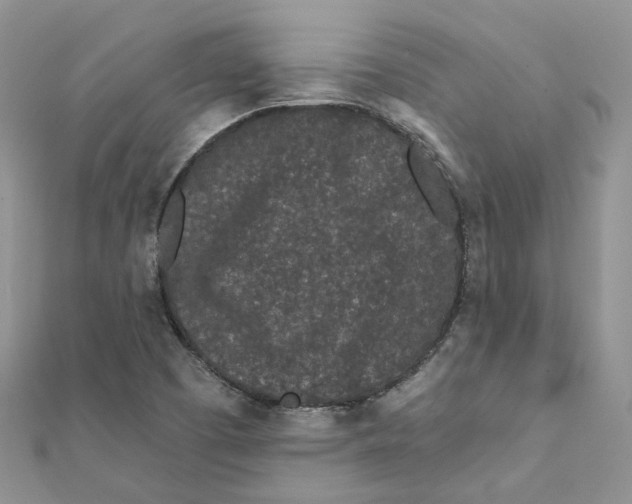 X0000112061457200909010953