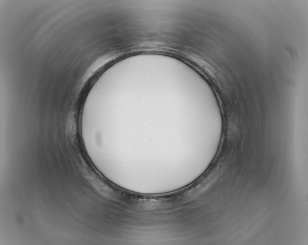 X0000112061458200909010953