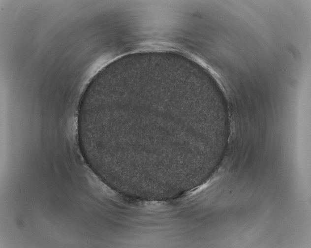 X0000112061459200909010953