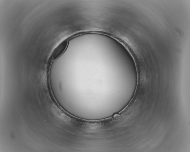 X0000112061460200909010953