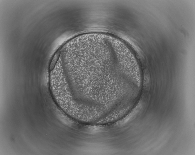 X0000112061461200909010953