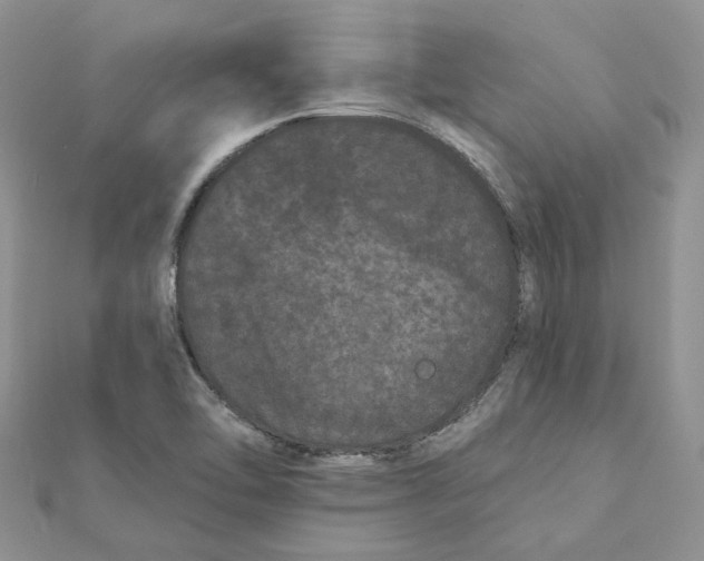 X0000112061462200909010953