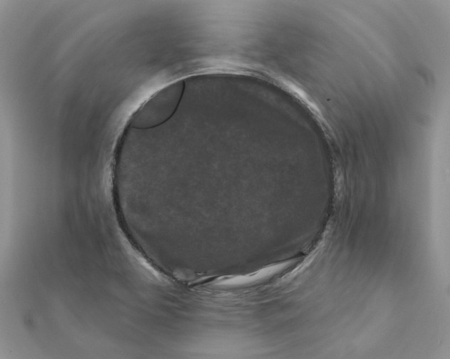 X0000112061463200909010953