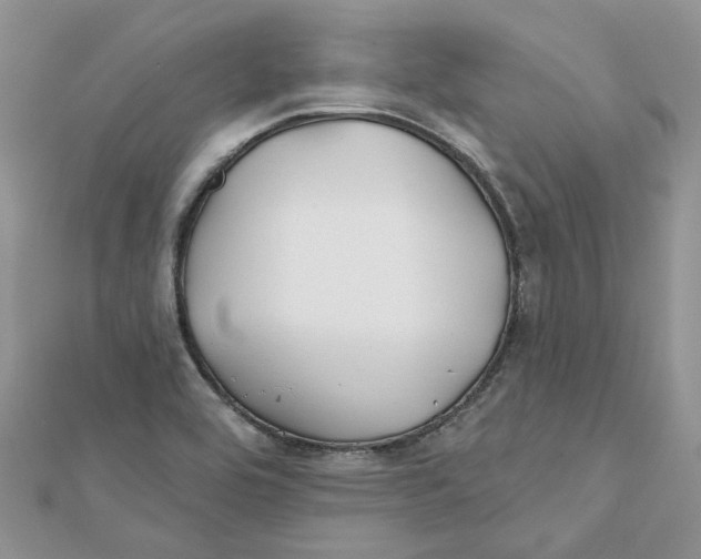 X0000112061464200909010953