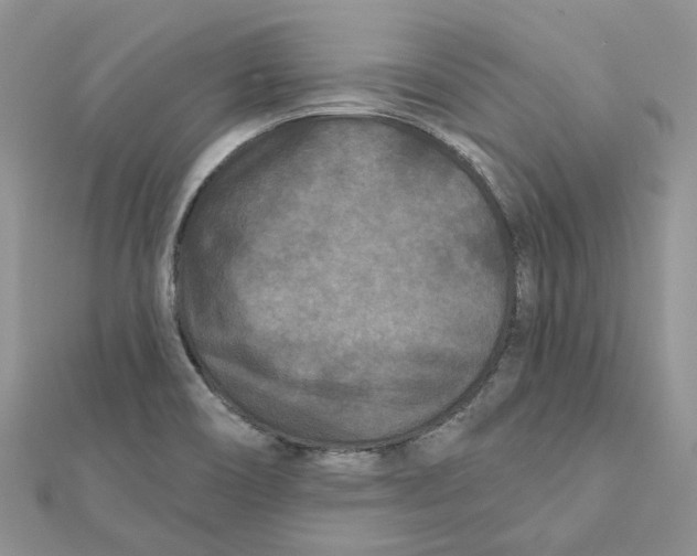 X0000112061466200909010952