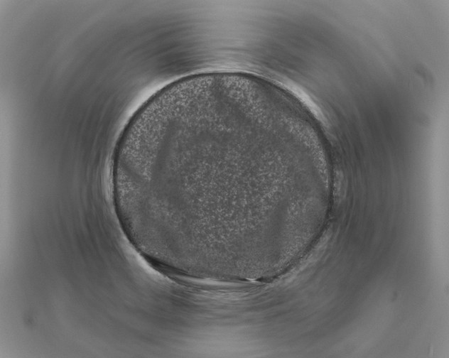 X0000112061468200909010952