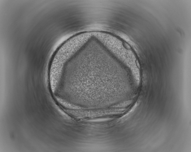 X0000112061469200909010952