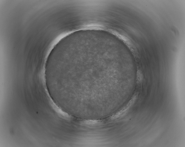 X0000112061470200909010952