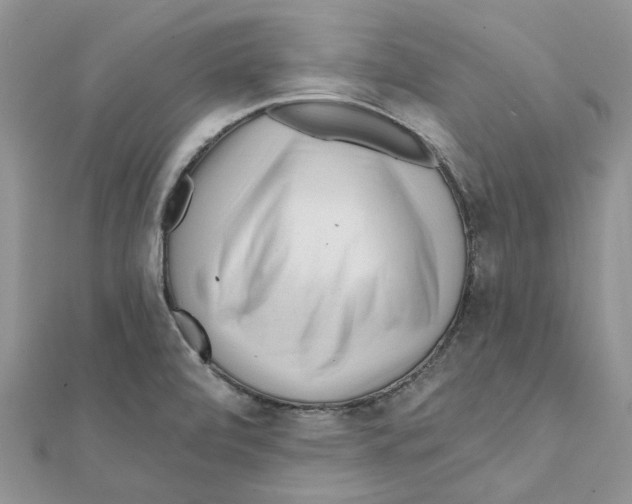 X0000112061472200909010952