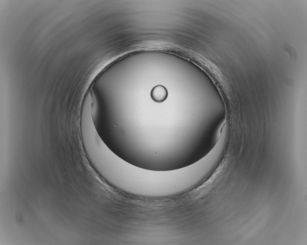 X0000112061473200909010952