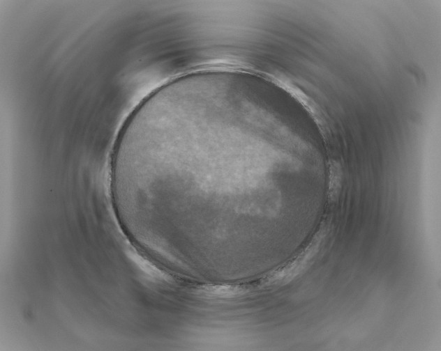 X0000112061474200909010952