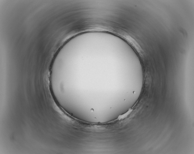 X0000112061476200909010952