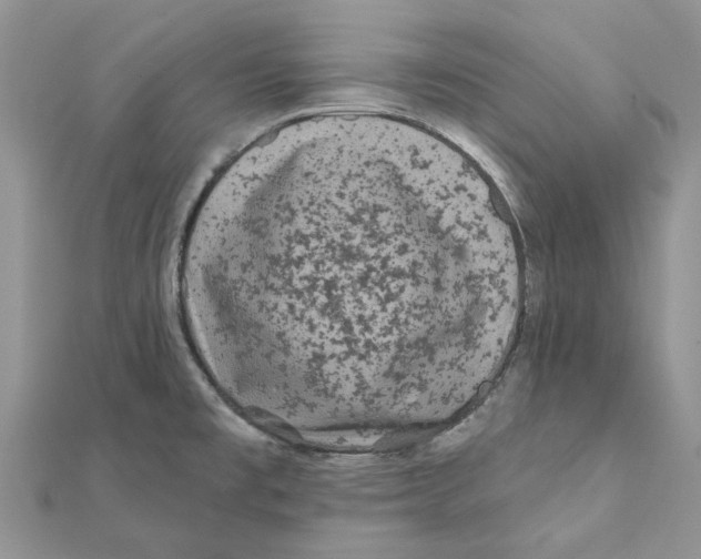 X0000112061477200909010952