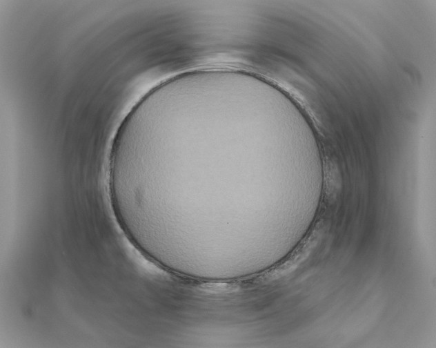 X0000112061478200909010952