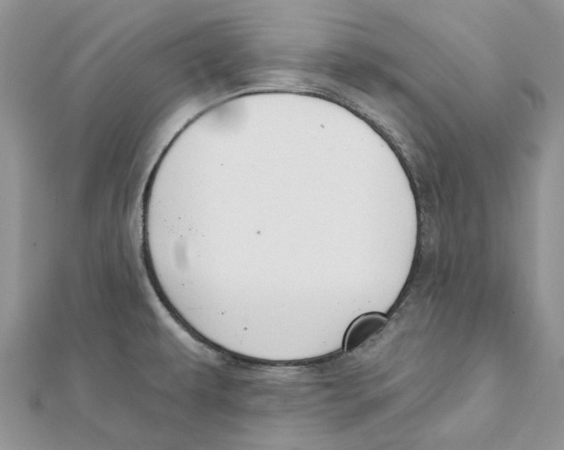 X0000112061479200909010952